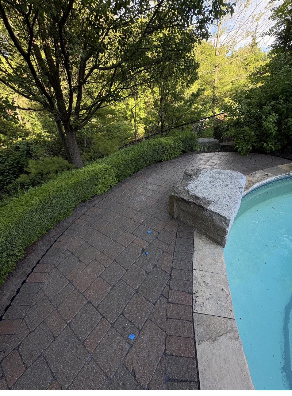 Curved poolside interlock walkway — Pearl Improvements
