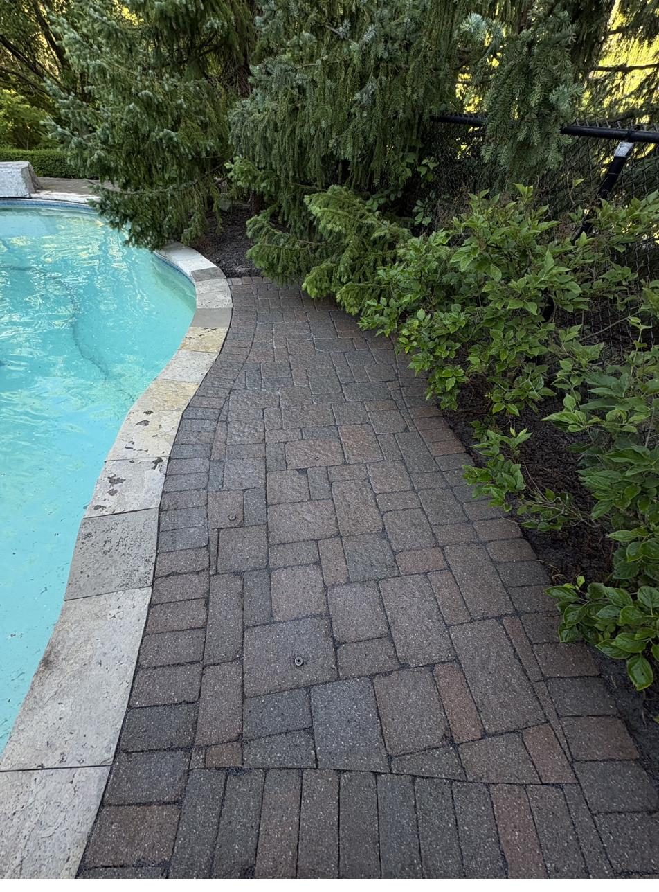 Interlock path running along the poolside — Pearl Improvements